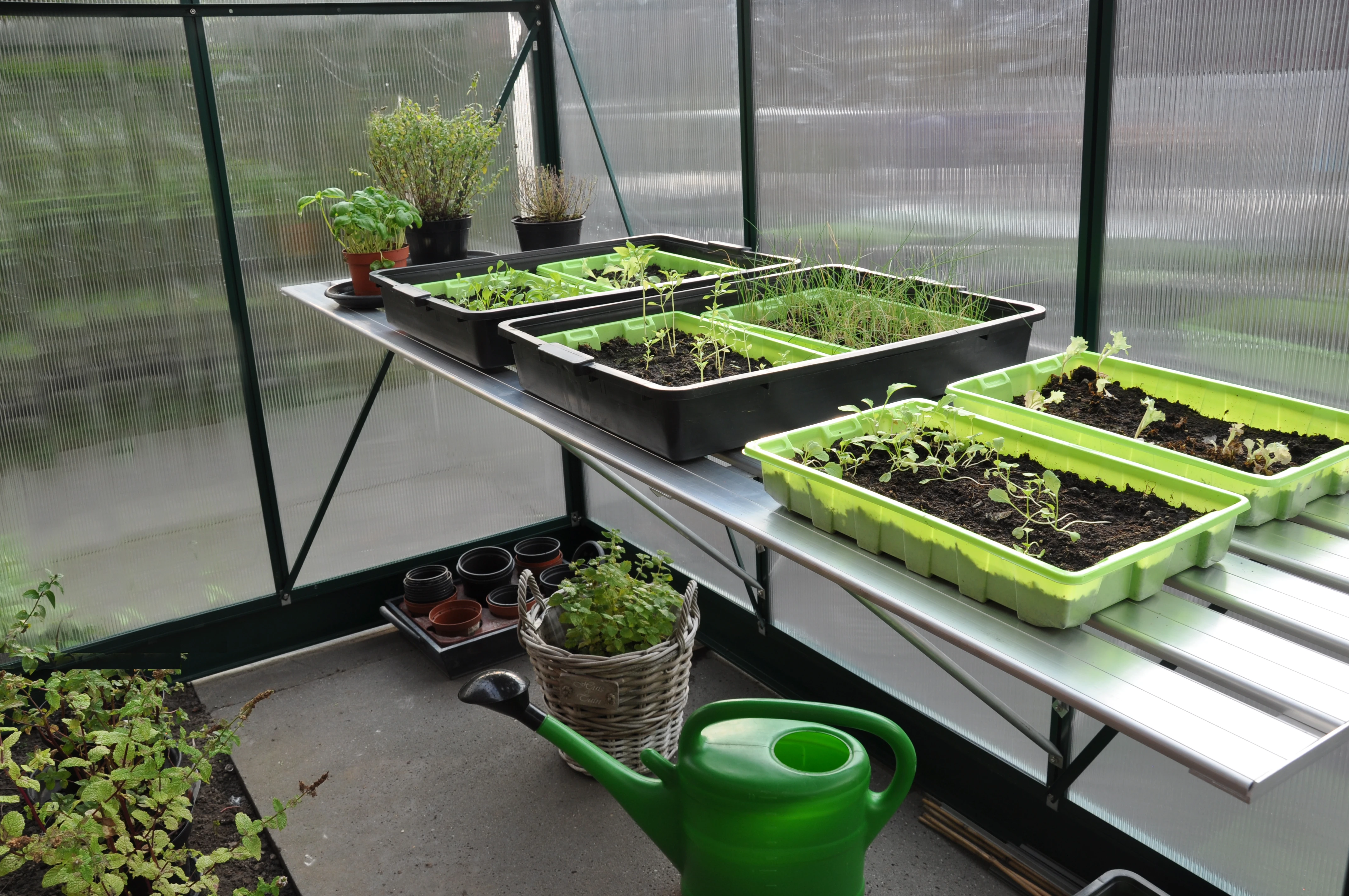 Royal Well Alu Grower 150 x 62.5 cm - Afbeelding 2